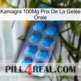 Kamagra 100Mg Prix De La Gelée Orale viagra1